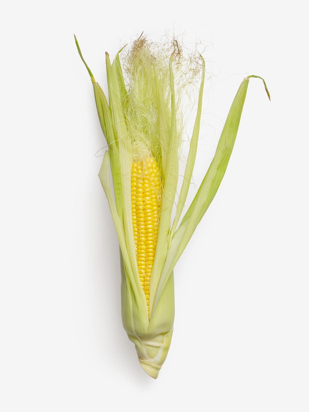 Isolated ear of corn psd image graphic asset