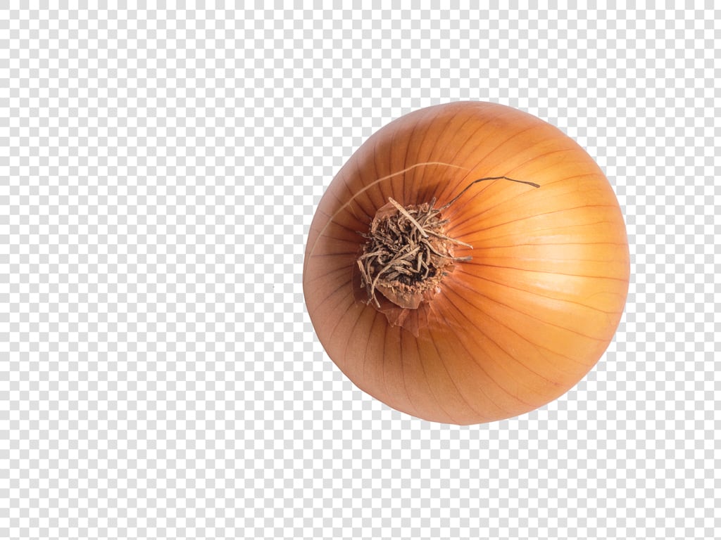 Onion Graphic Asset IMG 7094 Tr