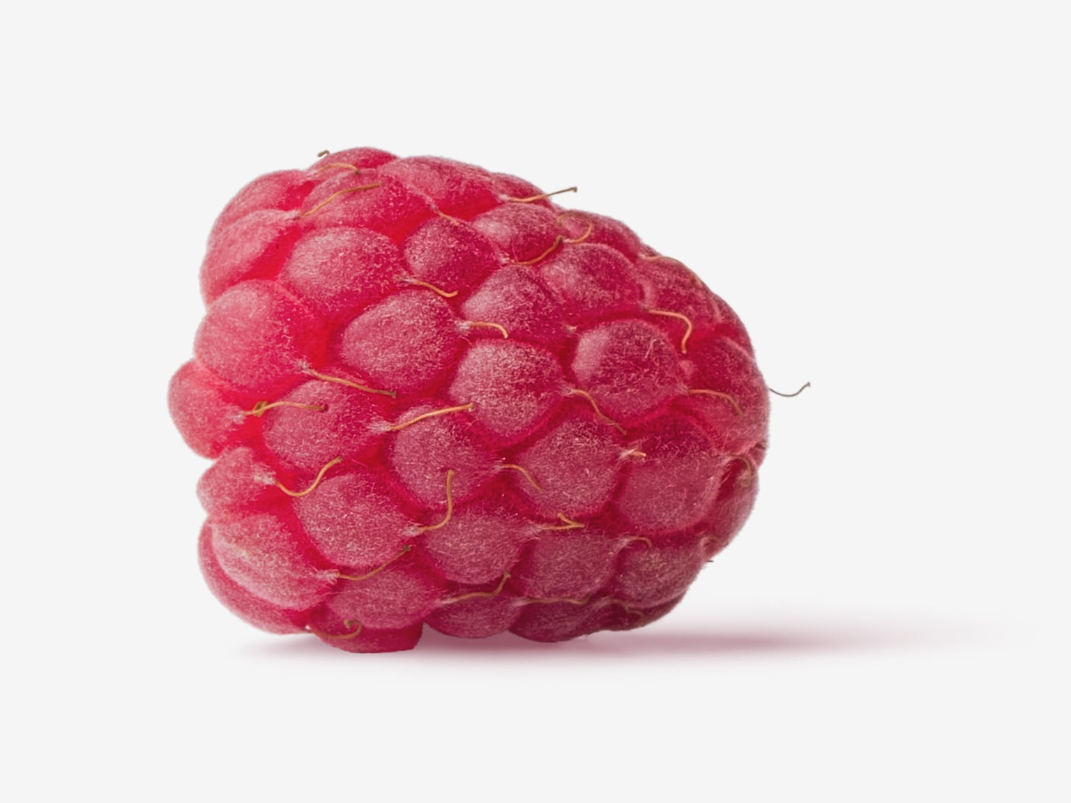 Raspberry graphic asset