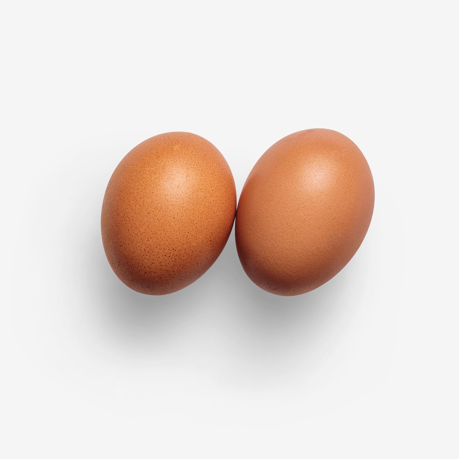 Egg graphic asset