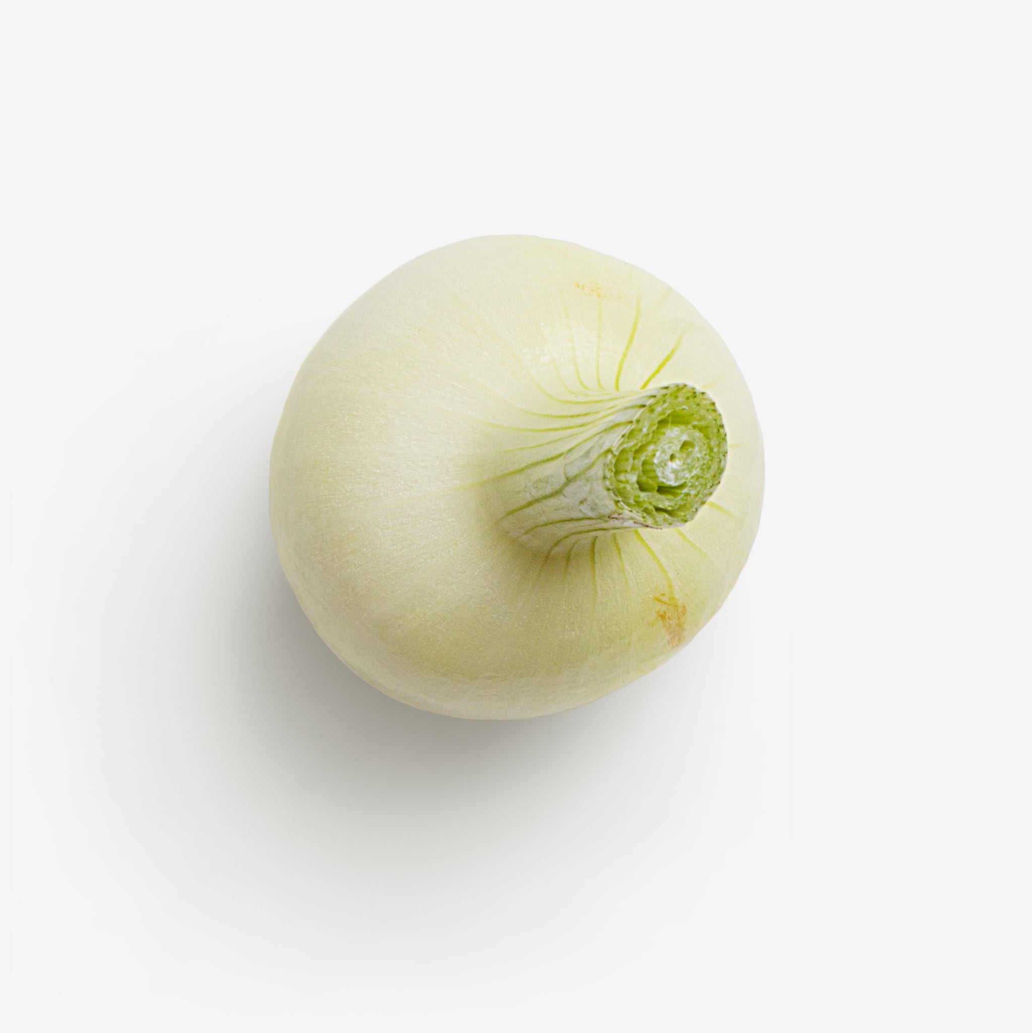 Onion PSD isolated image