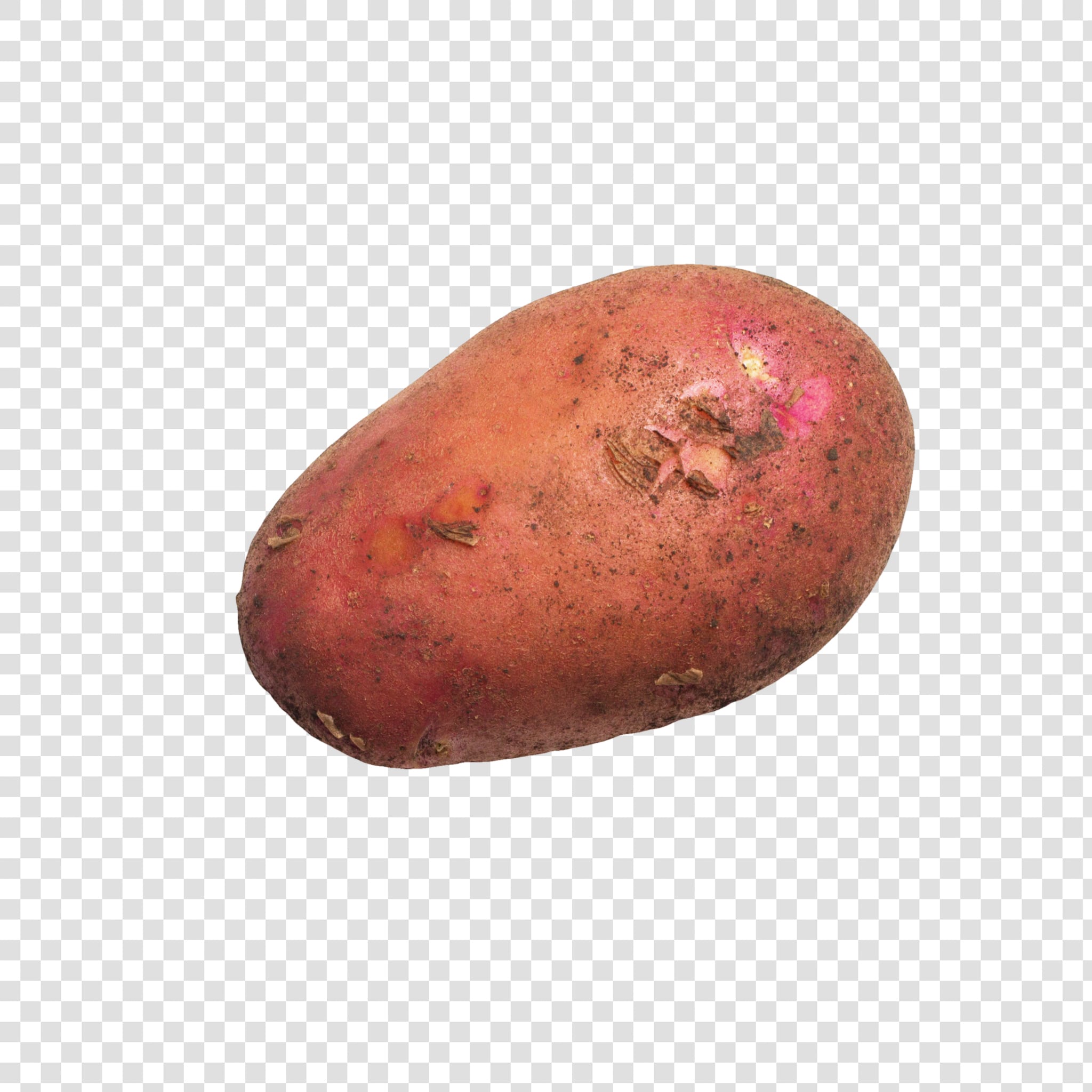 Potato PSD layered image