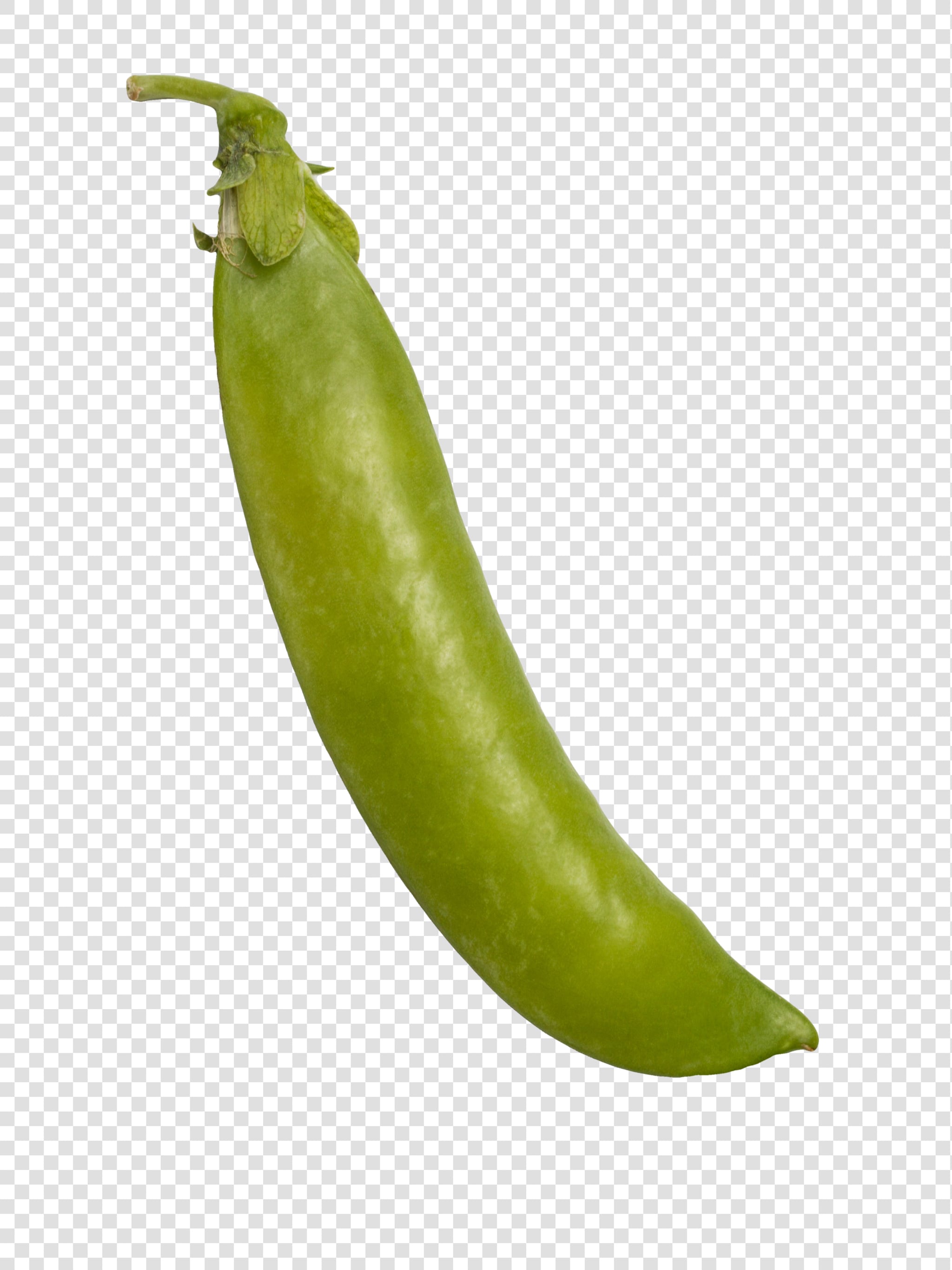 Green Pea image asset with transparent background