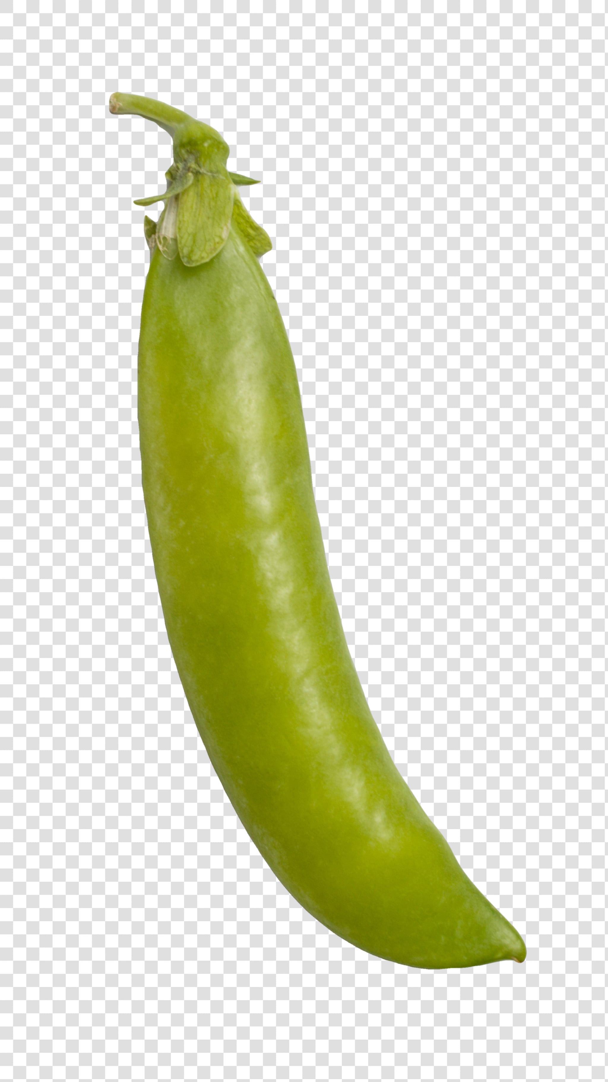 Green Pea image with transparent background