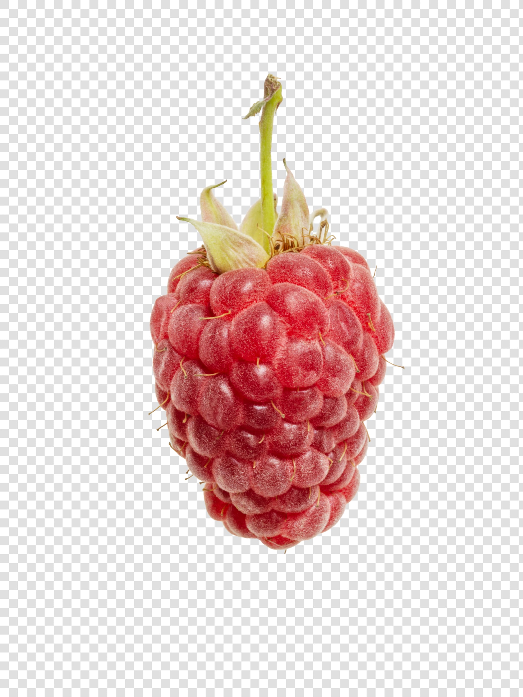Clean Isolated PSD image of Raspberry on transparent background with separated shadow