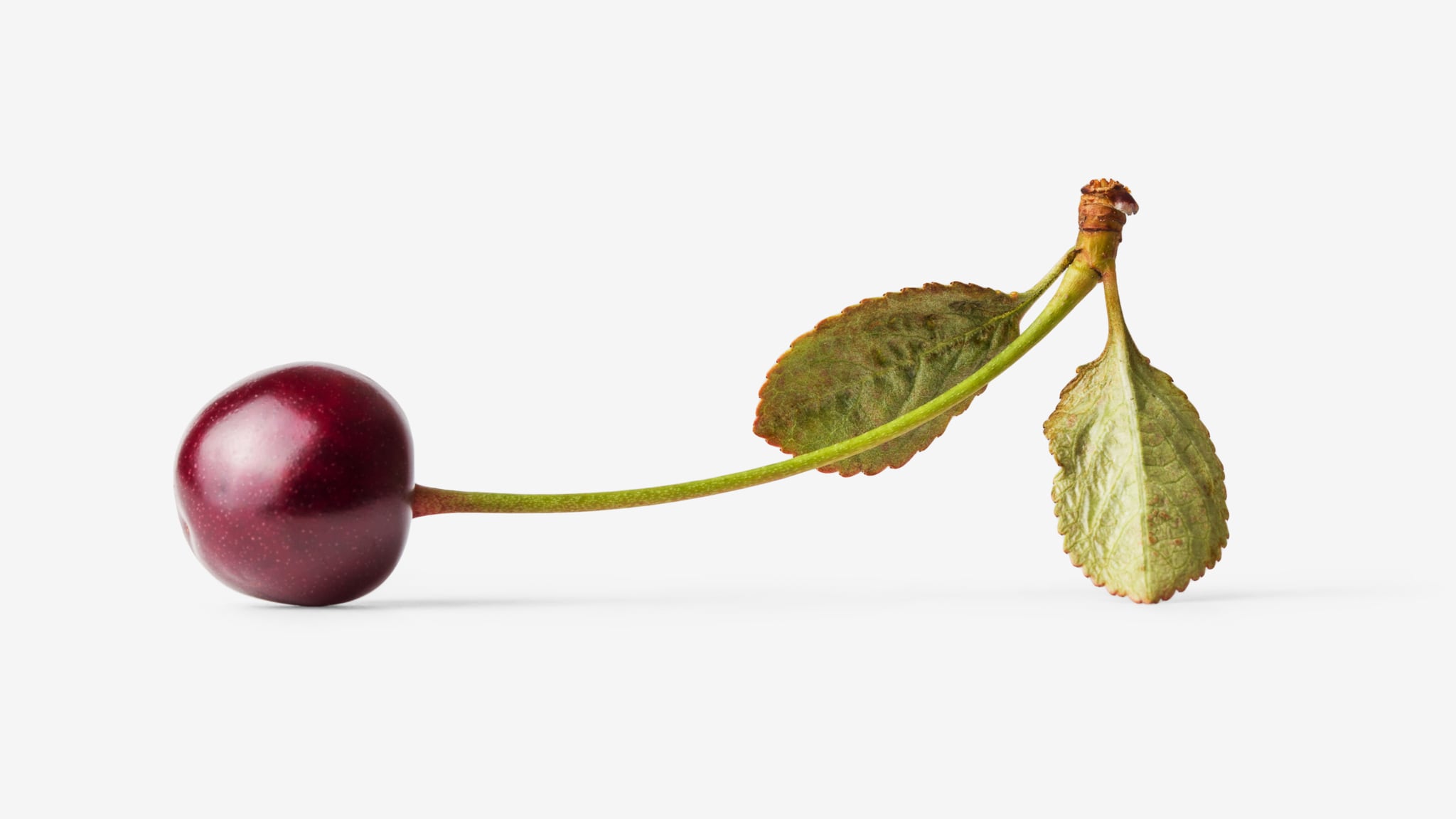 Cherry image with transparent background