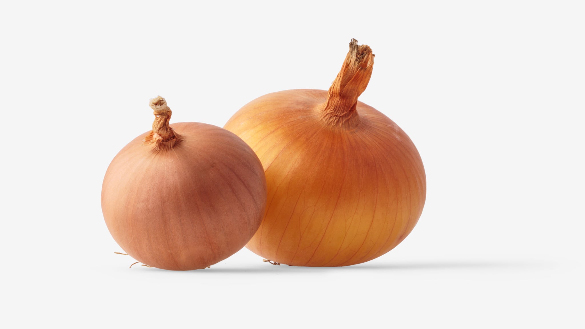 Onion image asset with transparent background