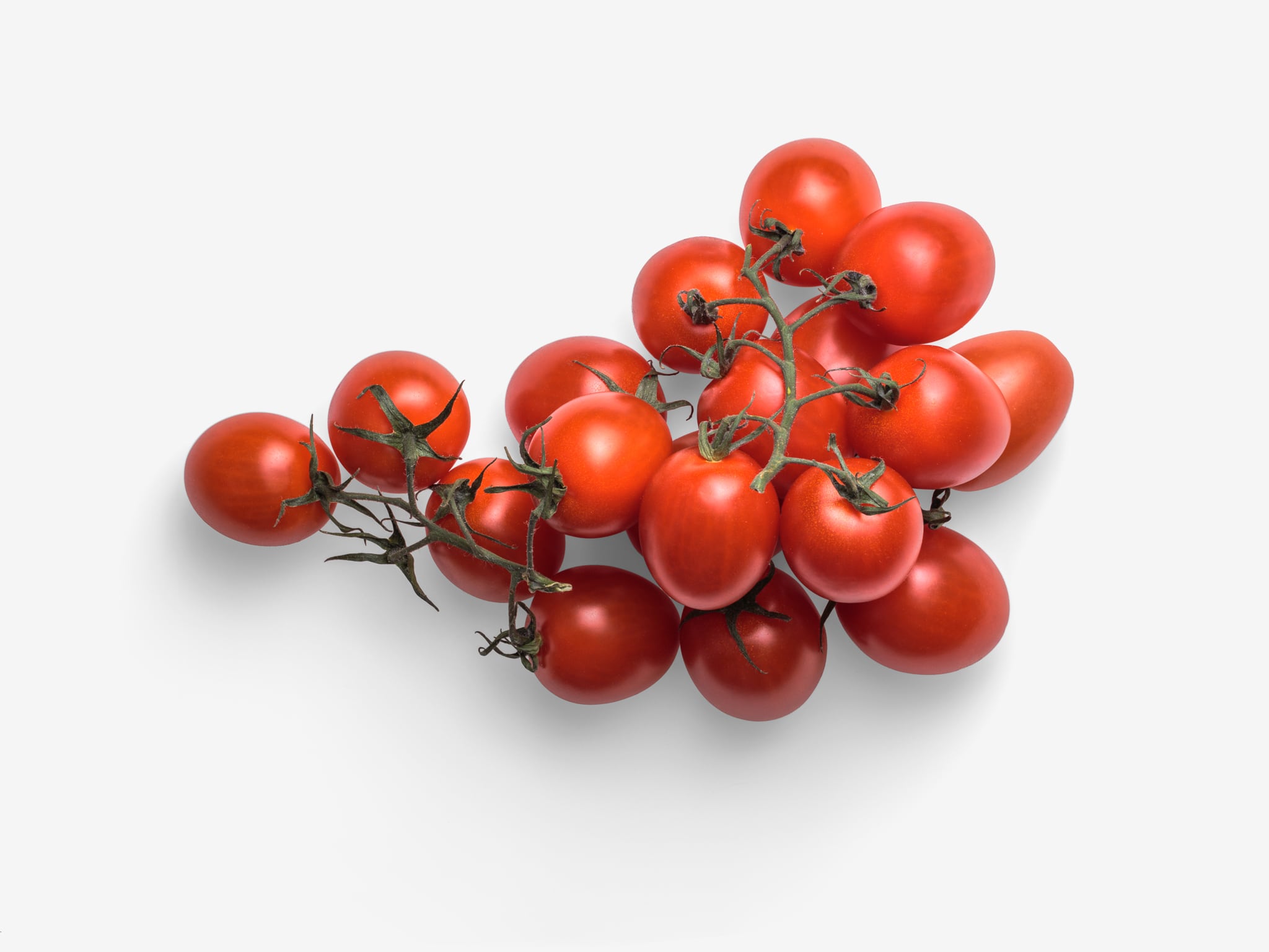 Cherry PSD image with transparent background