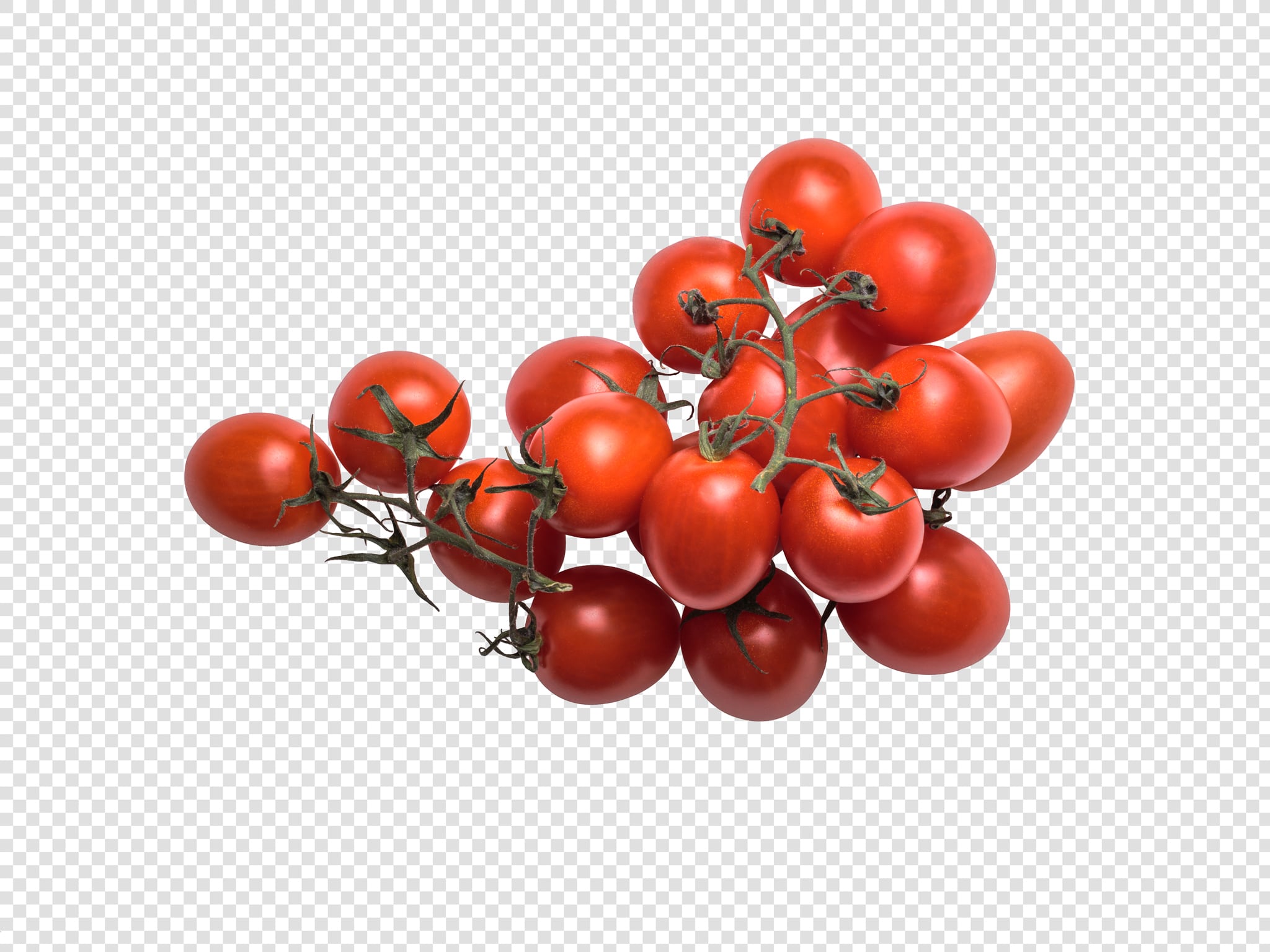 Cherry PSD image with transparent background