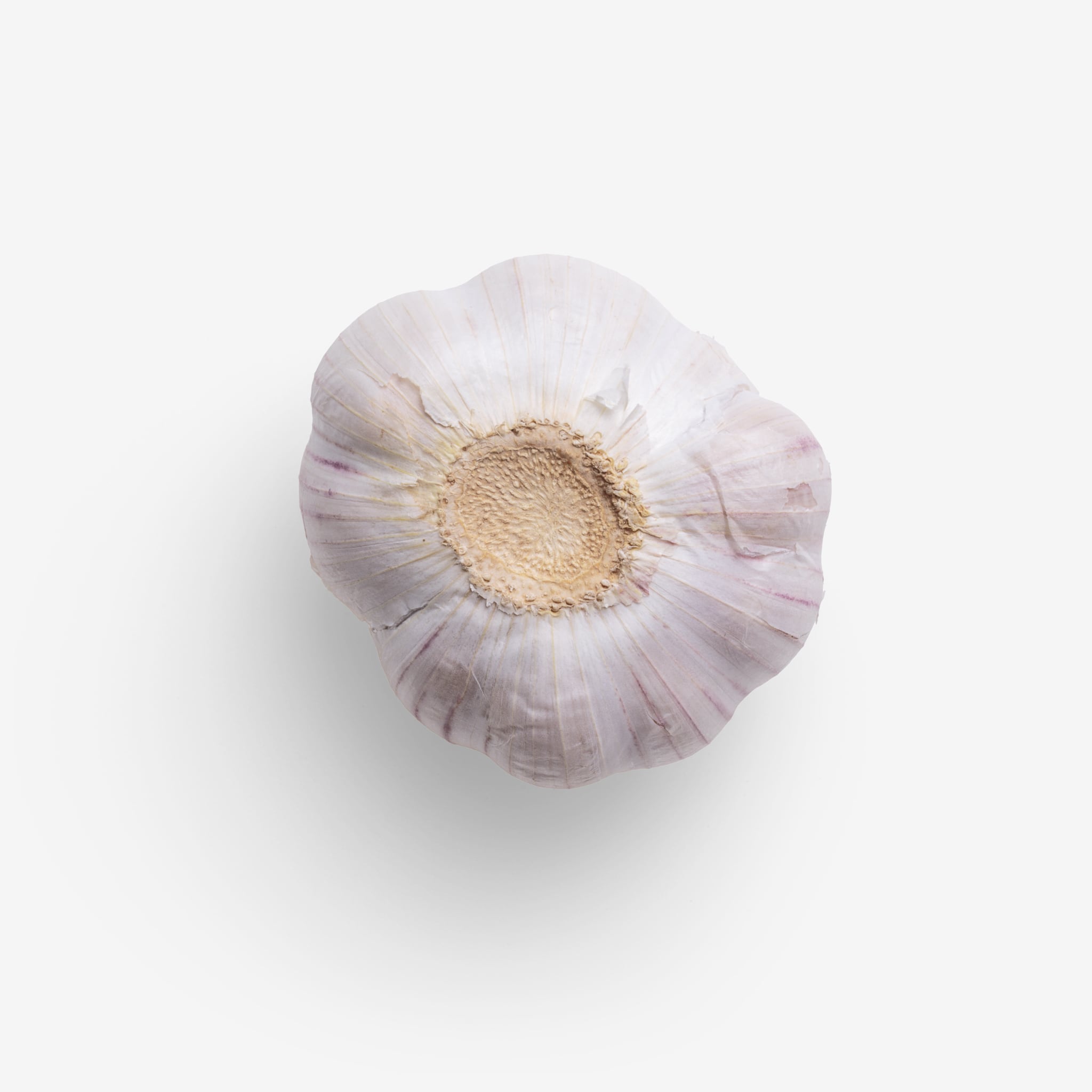 Garlic image asset with transparent background