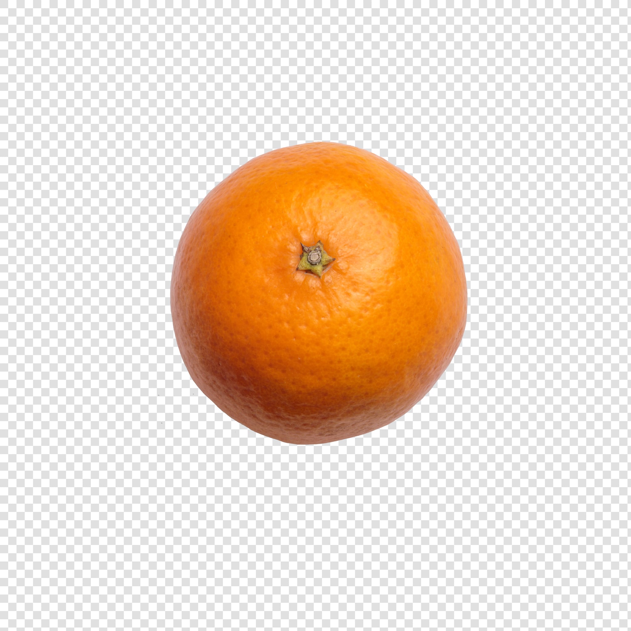 Orange PSD layered image