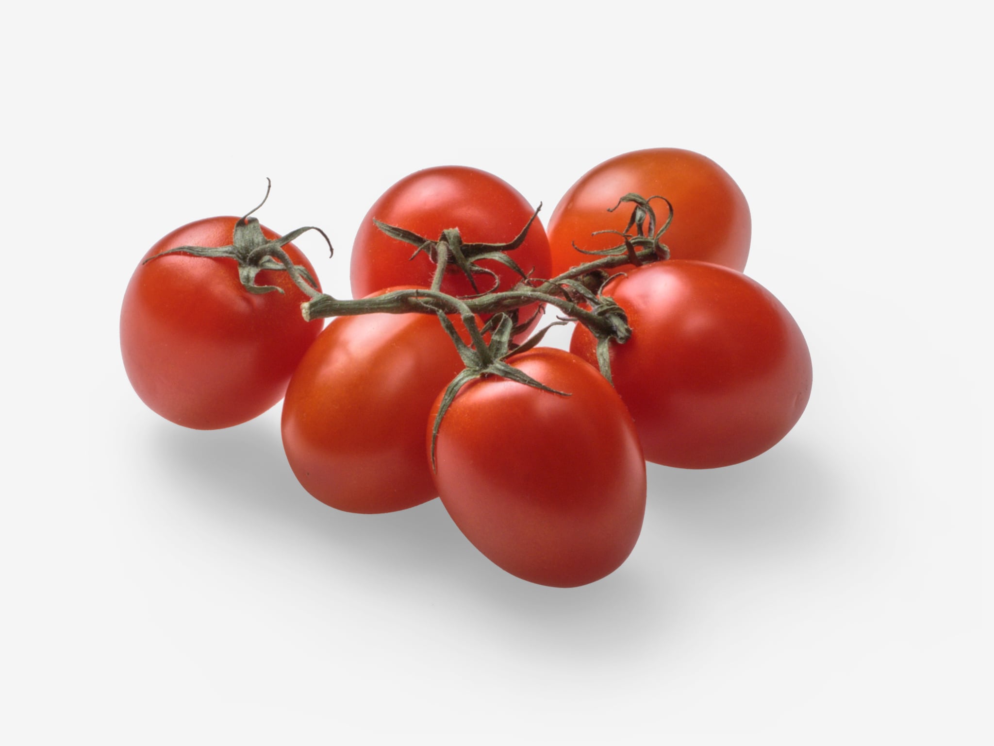 Tomato PSD image with transparent background