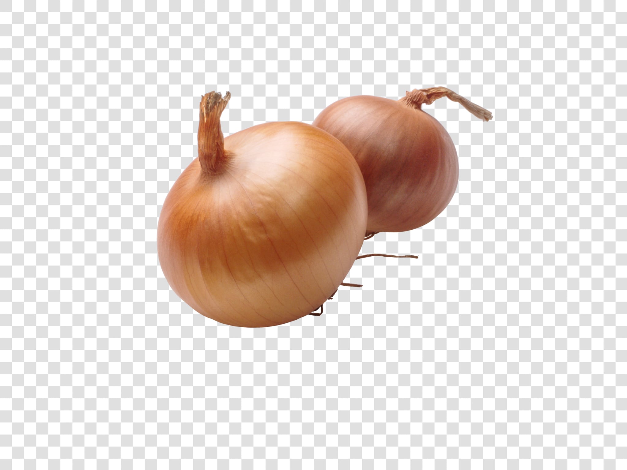 Onion PSD isolated image