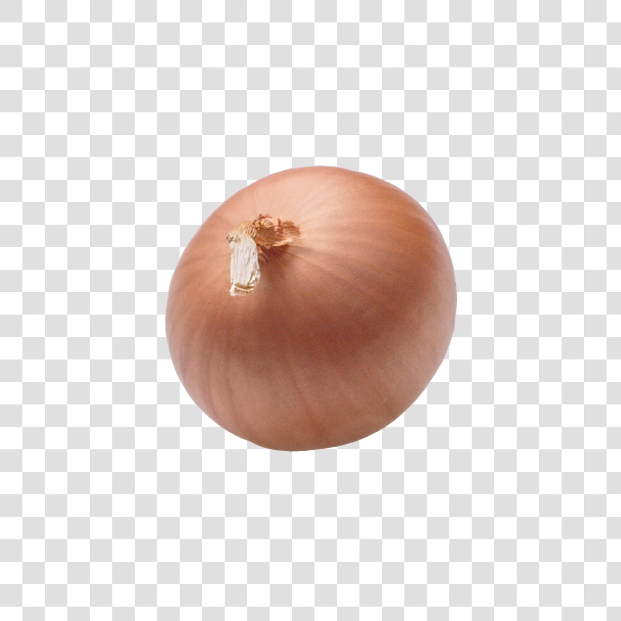 Onion image with transparent background