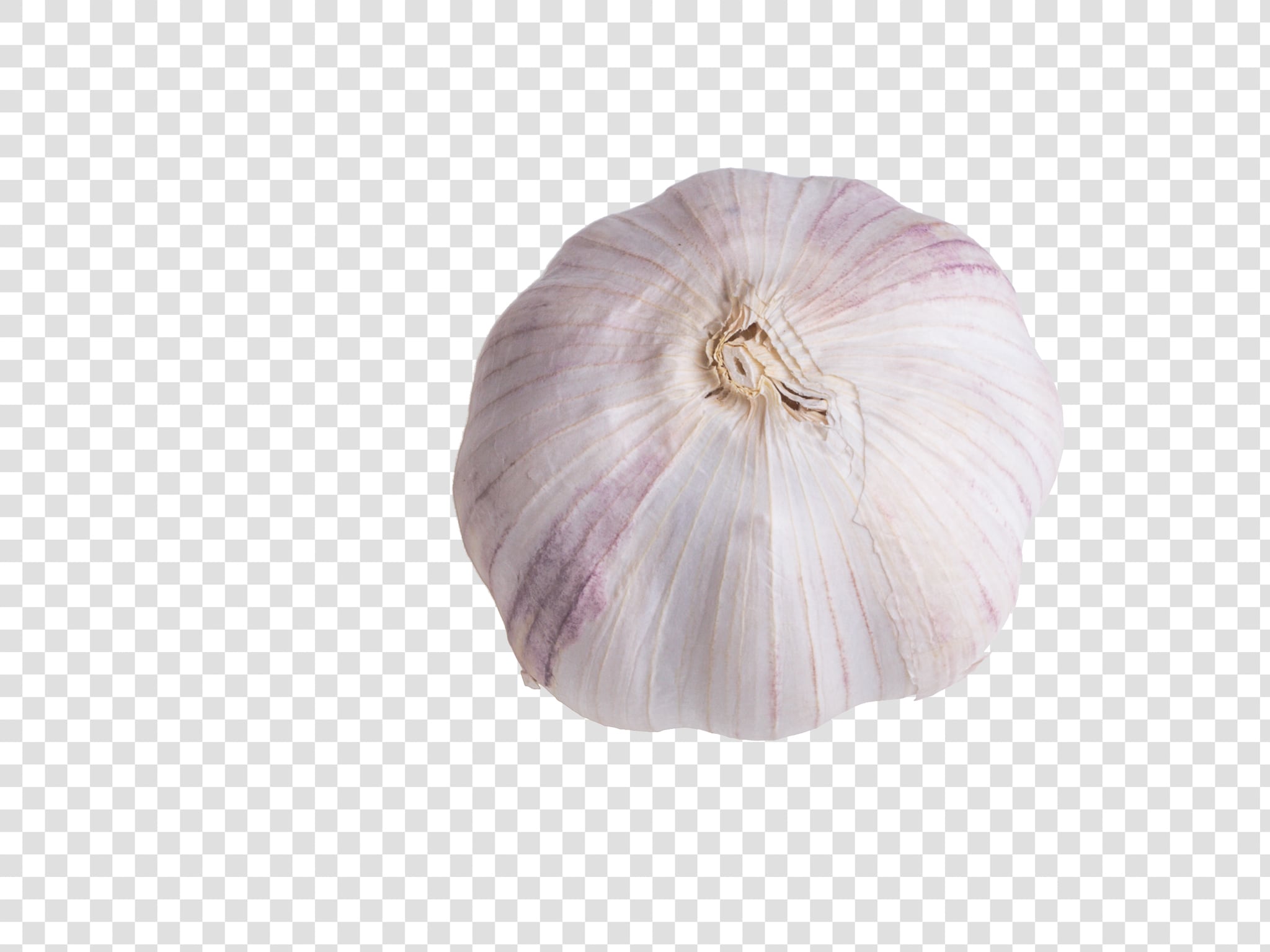 Garlic PSD image with transparent background