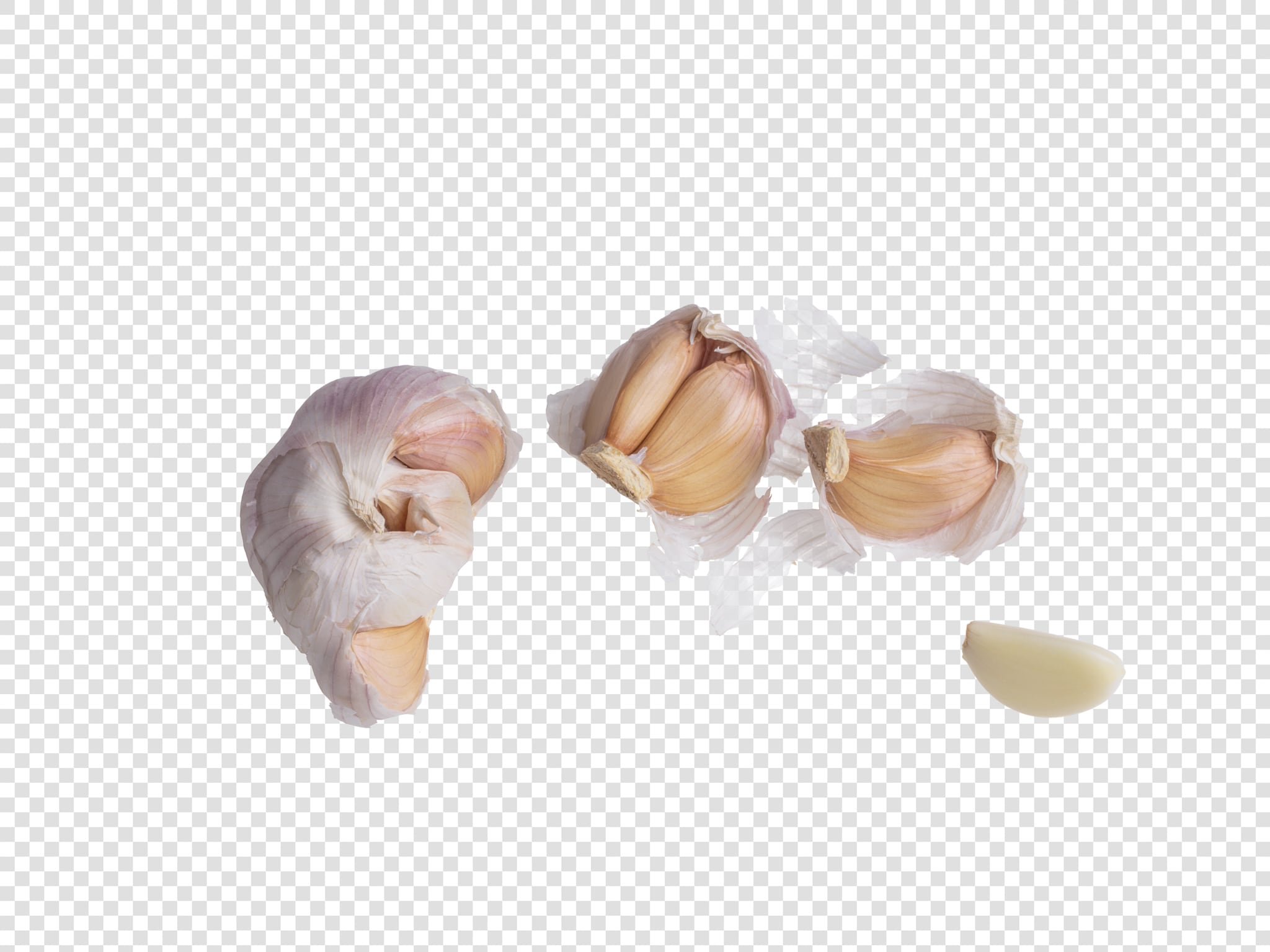 Garlic PSD layered image