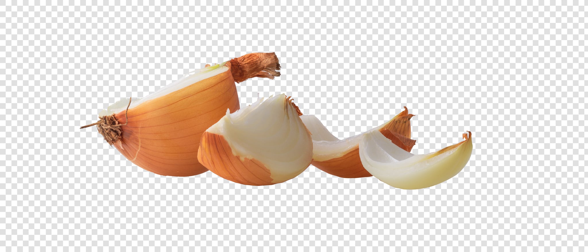 Onion PSD layered image
