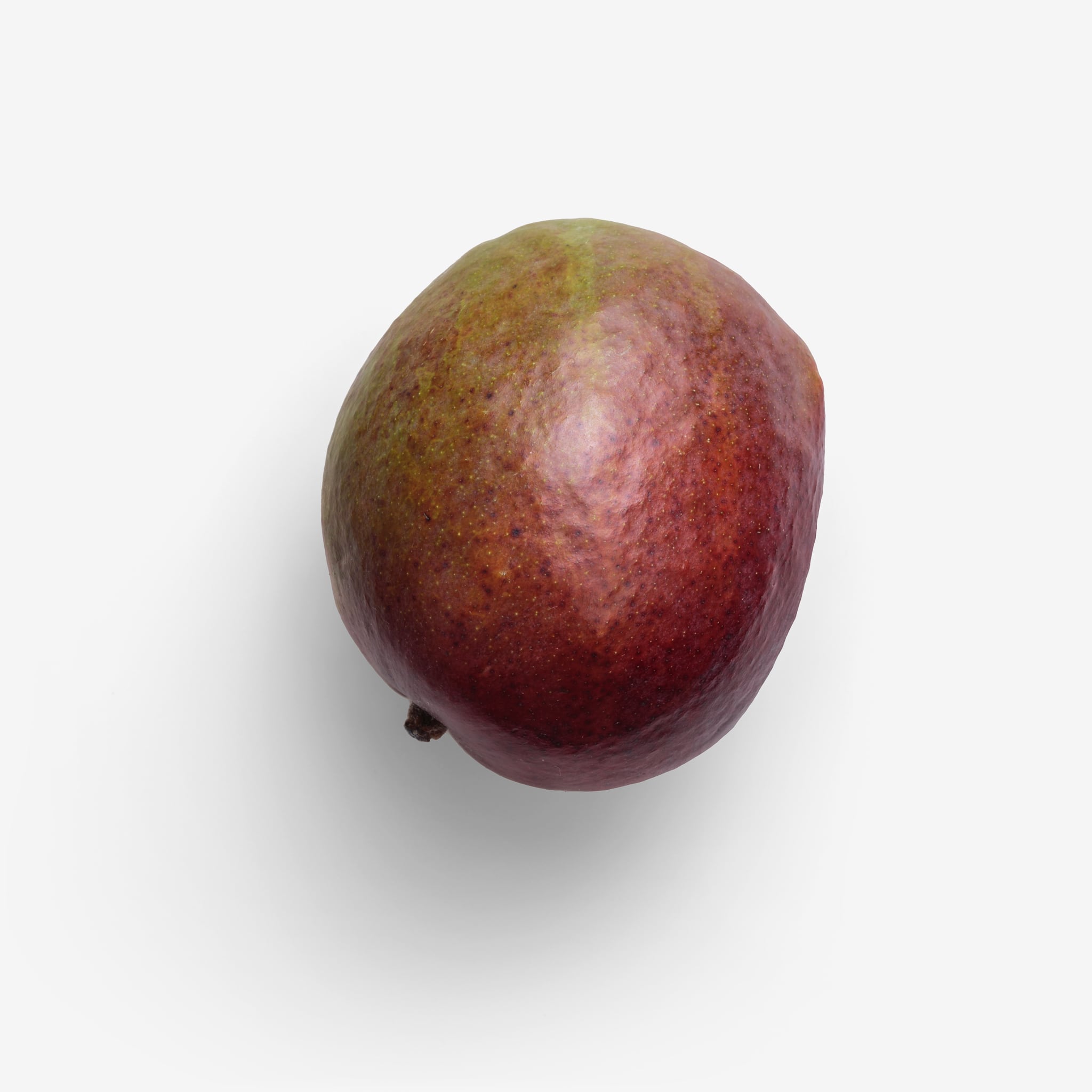 Mango image asset with transparent background