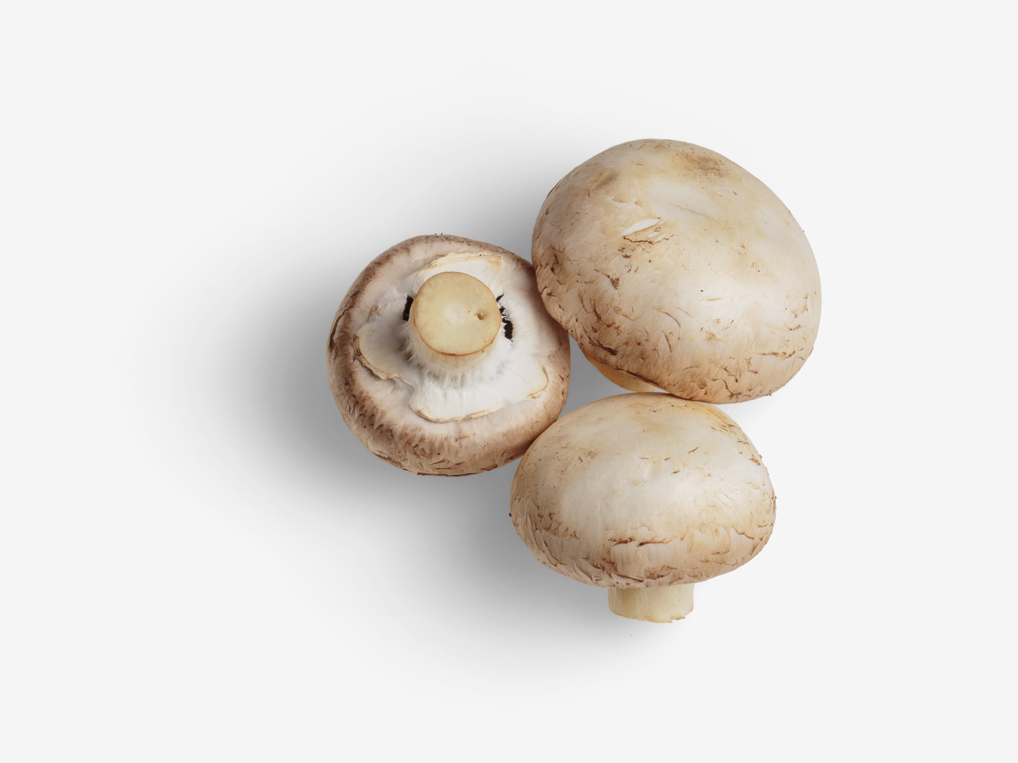 Champignon PSD image with transparent background