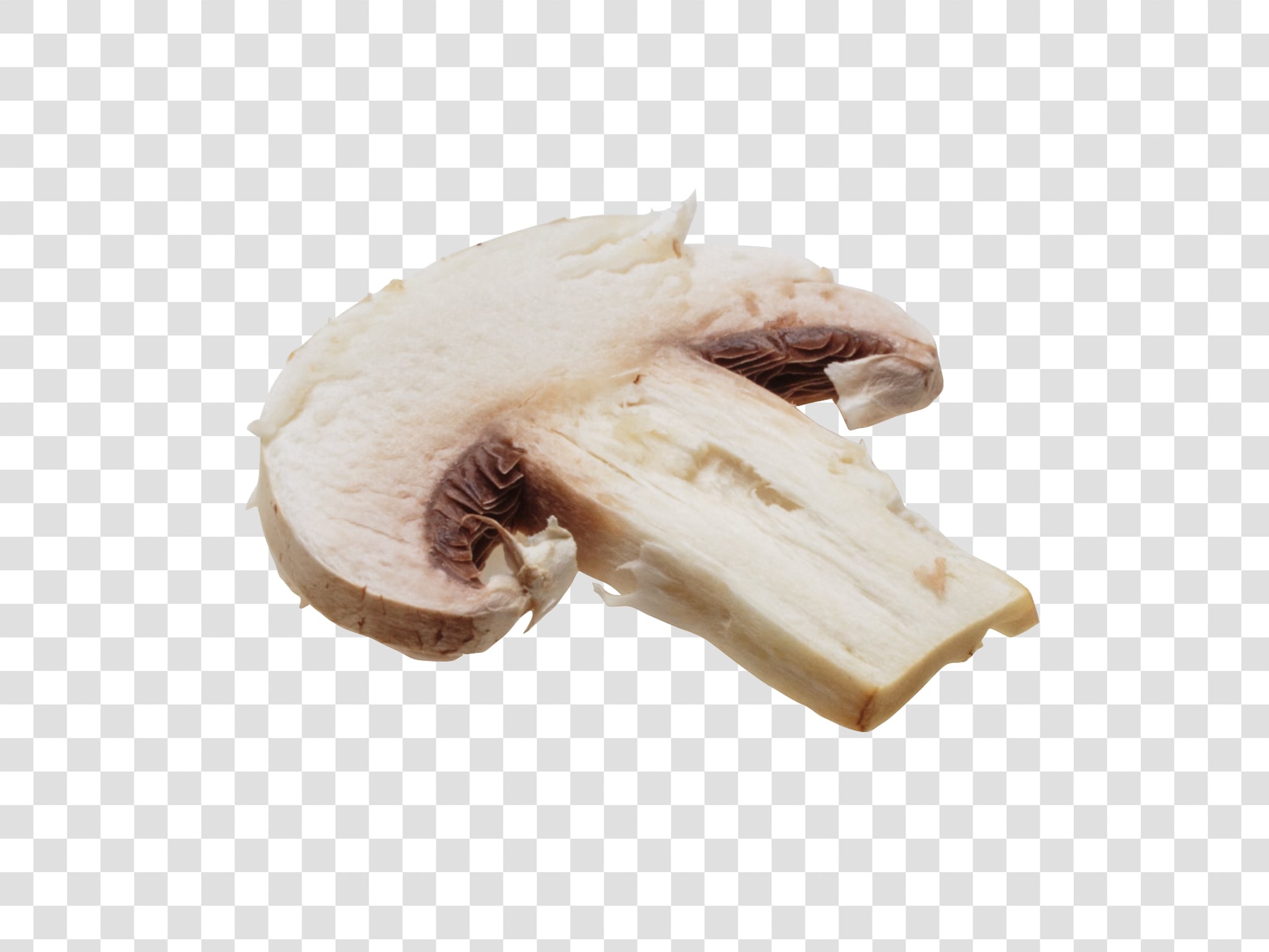 Champignon PSD image with transparent background