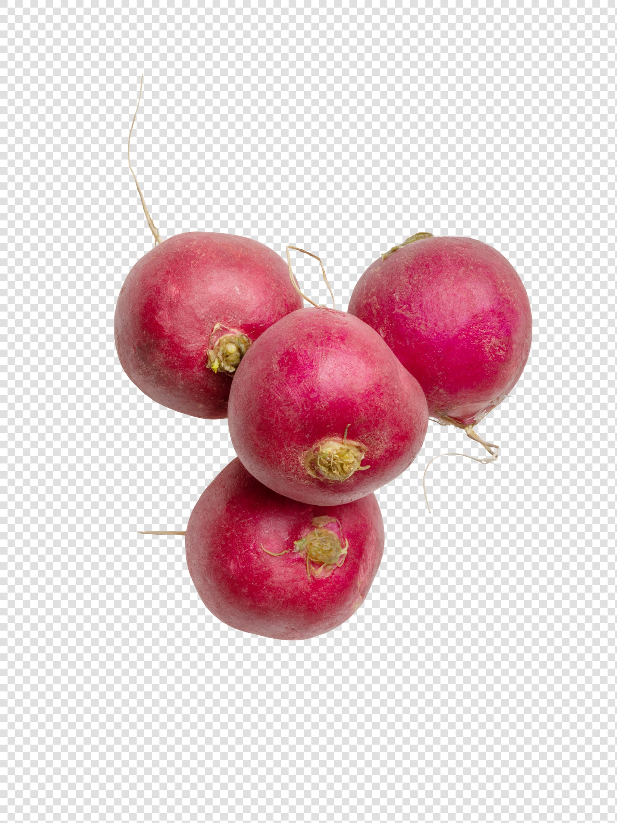 Clean Isolated PSD image of Radish on transparent background with separated shadow