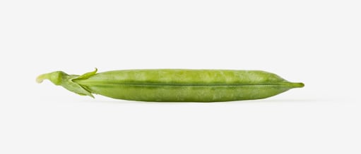Green pea image with transparent background