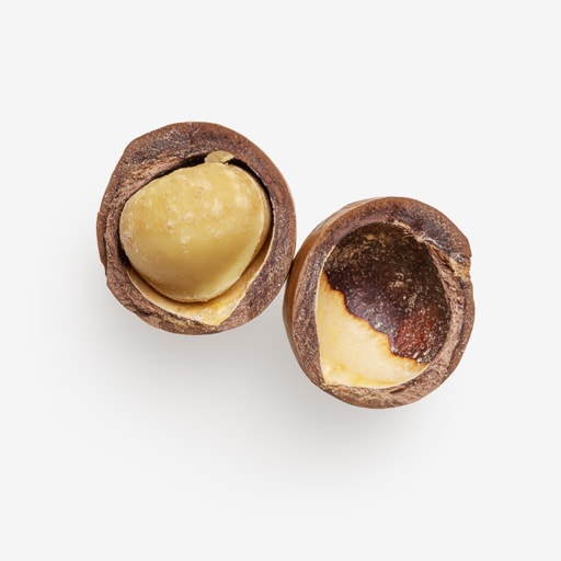 Clean Isolated PSD image of Macadamia on transparent background with separated shadow