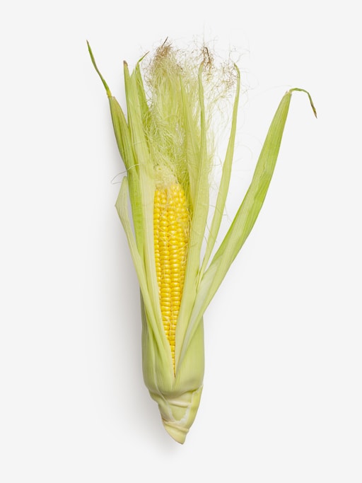 Isolated Ear of corn psd image