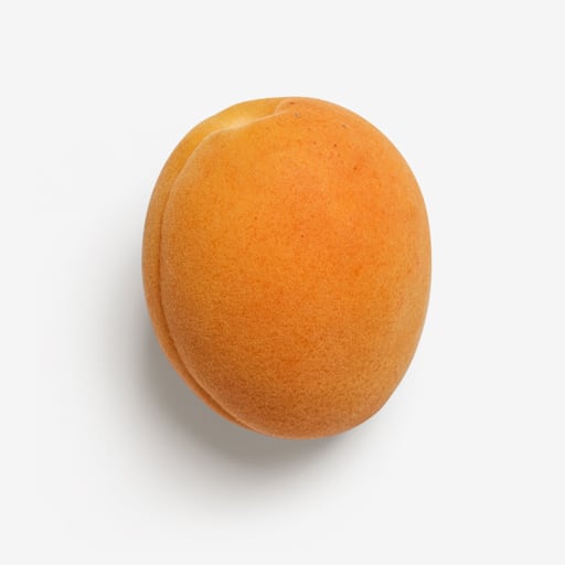 Orange PSD layered image