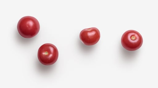 Tomato image asset with transparent background