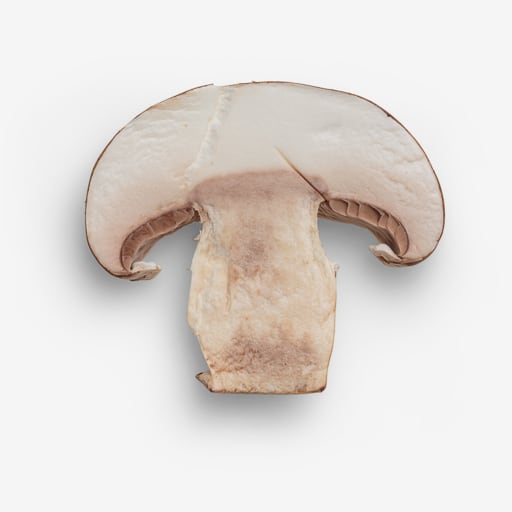 Champignon image asset with transparent background