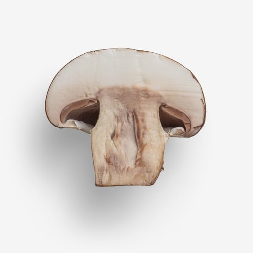 Champignon PSD isolated image